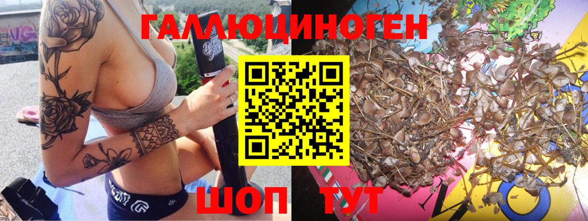Галлюциногенные грибы GOLDEN TEACHER  Псилоцибиновые грибы Cubensis  Вход с VPN  Тольятти 