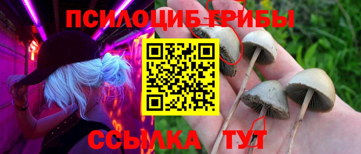 Псилоцибиновые грибы прущие грибы Тольятти